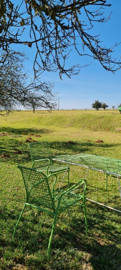 Green Thumb Farm Stay Ermelo Dış mekan fotoğraf